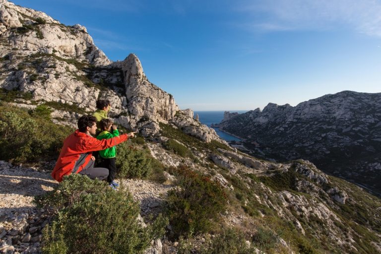 ECOBALADE : une application qui met la découverte de la biodiversité au cœur des promenades