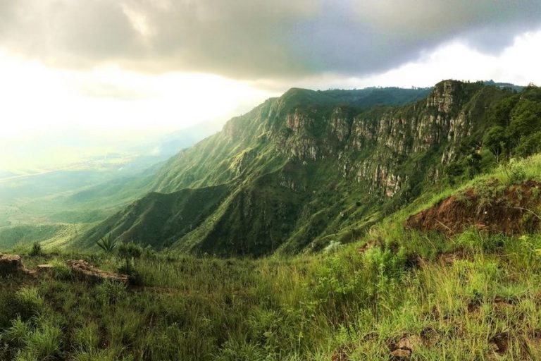 ECOSIA : le moteur de recherche qui lutte contre le réchauffement climatique