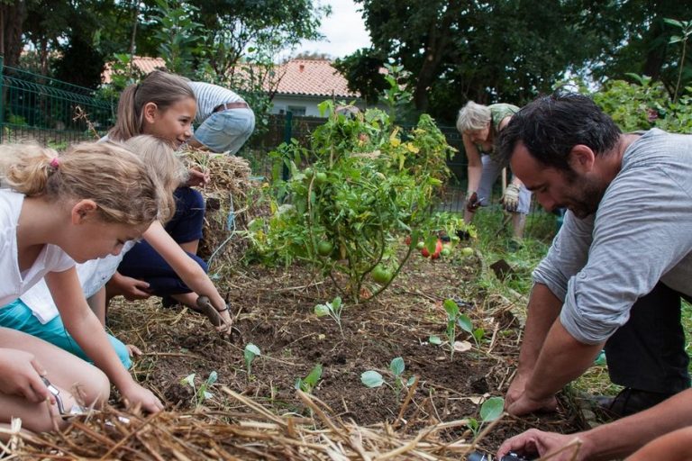 GRAINES DE TROC : libérer les semences pour sauvegarder la biodiversité cultivée
