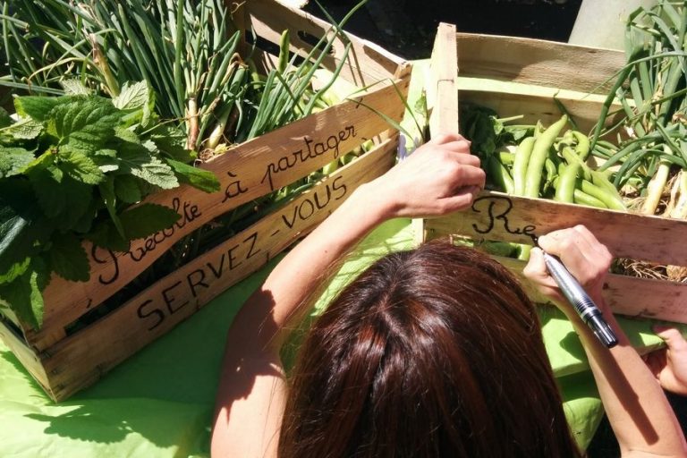 GRAINES DE TROC : libérer les semences pour sauvegarder la biodiversité cultivée