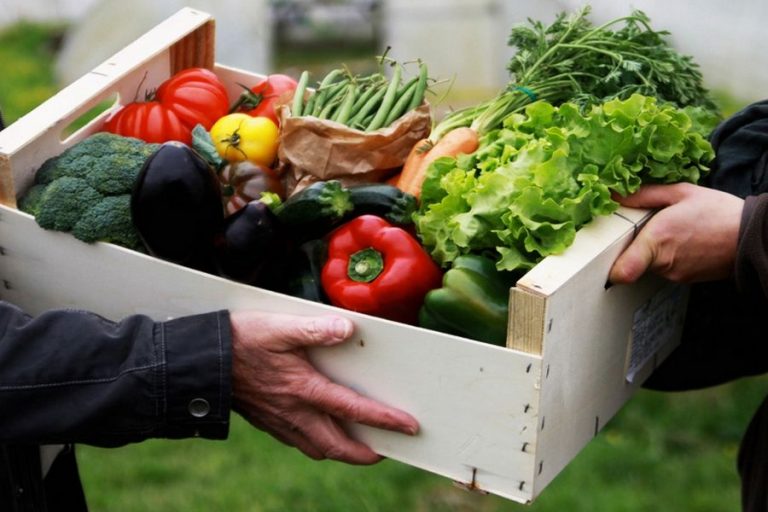 LES JARDINS DE COCAGNE : des paniers bio et solidaires