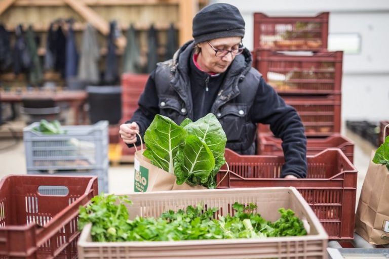 LES JARDINS DE COCAGNE : des paniers bio et solidaires