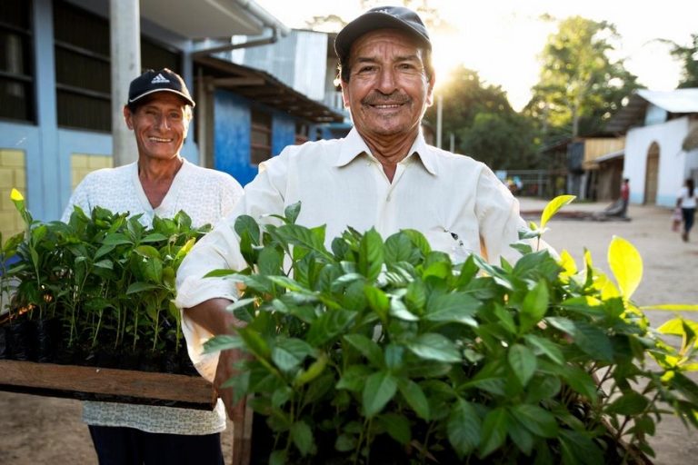 PUR PROJET : réconcilier les entreprises et la Nature