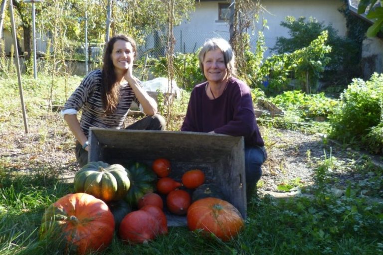 SAVEZ-VOUS PLANTER CHEZ NOUS : le jardinage en partage