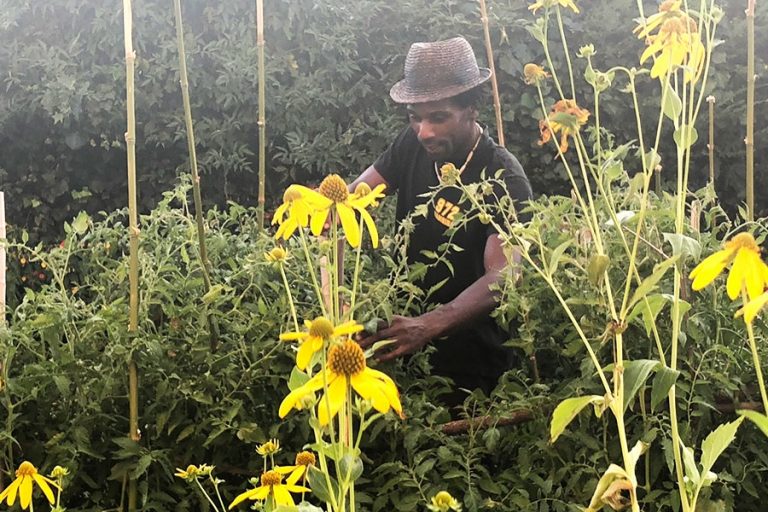 SAVEZ-VOUS PLANTER CHEZ NOUS : le jardinage en partage