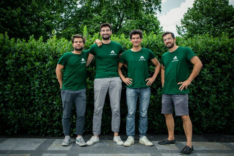 ECOTREE : investir dans les arbres pour participer à la transition écologique